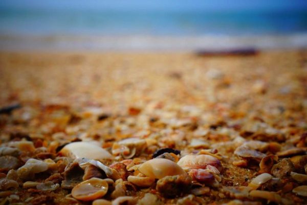 Google Gemini Rolls Out 5 Student Features for Smarter Study