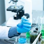 LifeSciBench: OpenAI's New Test for AI in Life Sciences