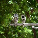 Gemini Live Camera: Point Your Phone and Get Instant AI Help