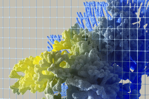 Anthropic Cuts Fable 5 Biology Blocks by 85%
